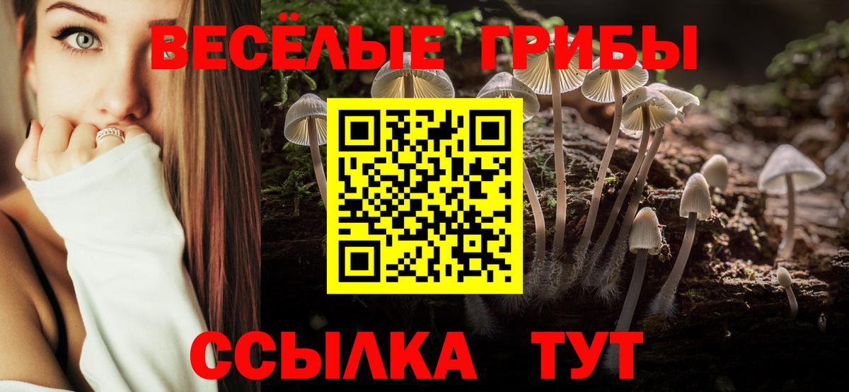 Тавда  Псилоцибиновые грибы мухоморы  купить закладку  Вход с VPN  Псилоцибиновые грибы Cubensis 